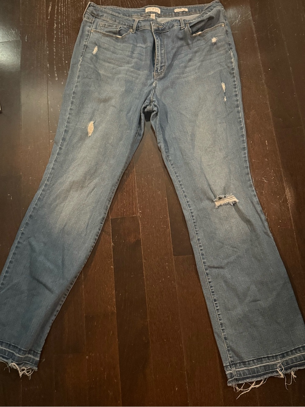 sofia by sofia vergara Marisol boot cut jeans - Size 18
